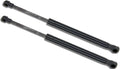 Qty 2 Compatible with Ford Mustang 2015 to 2021 Trunk Lift Supports W/O Spoiler. Gas Shock - 2016 2017 2018 2019 2020 2022 Lift Supports Depot PM3864-a