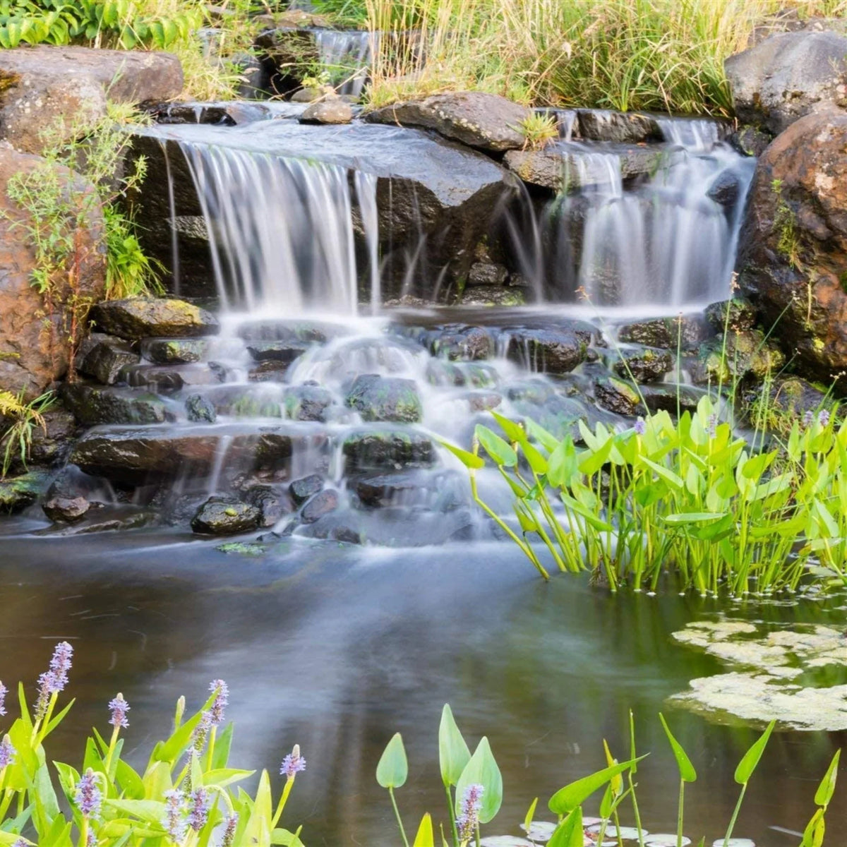 HALF OFF PONDS Piranha Series 6,300 GPH Direct Drive Submersible Pump for Water Gardens, Ponds and Waterfalls - PN-6300