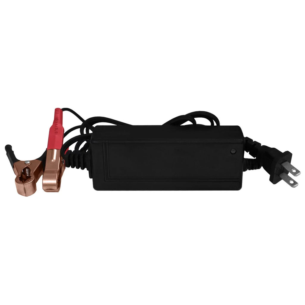 YTX12-BS GEL Replaces Suzuki GSX-R1000 01-04 + 12V 2Amp Charger