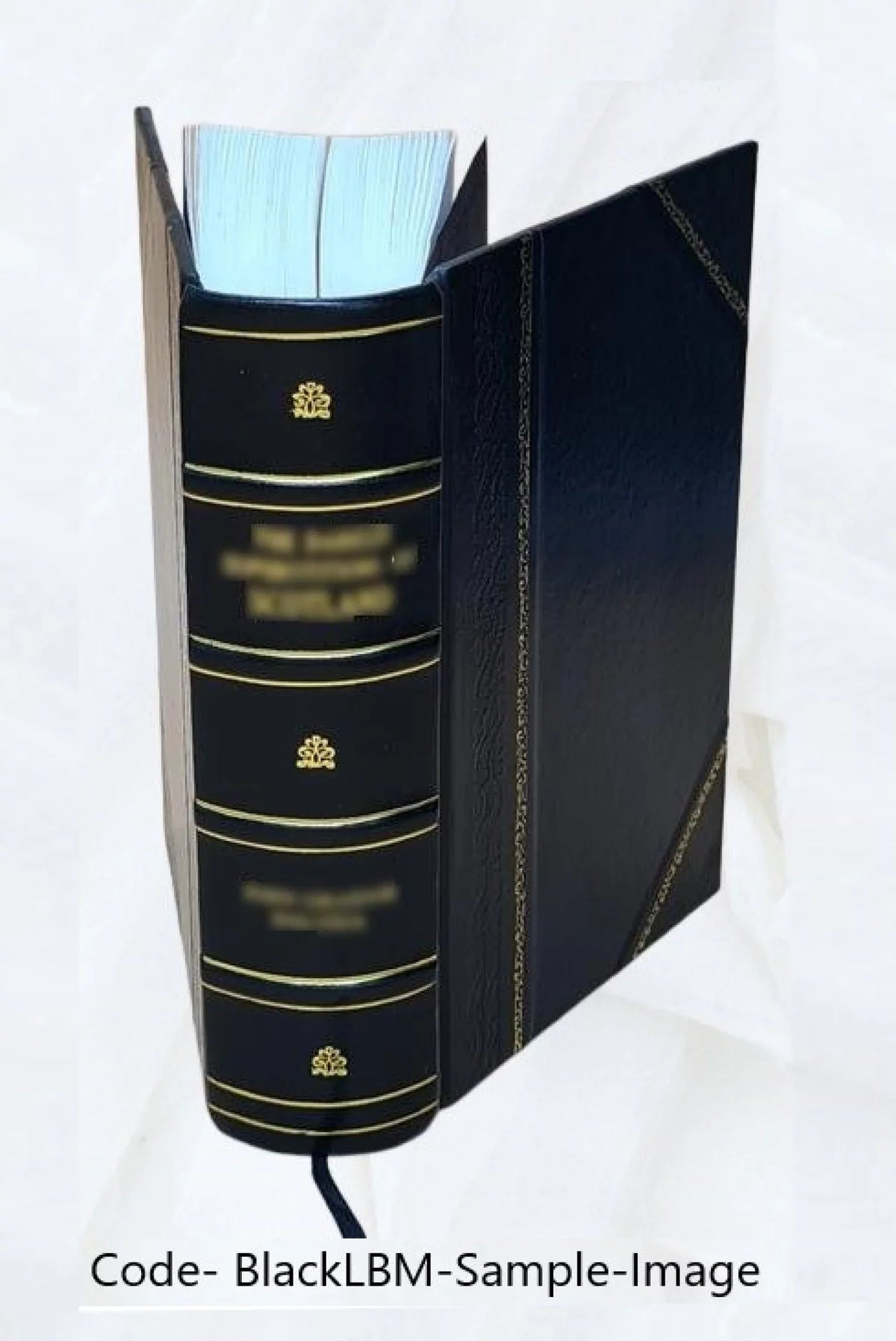 Cinderella Three hundred and forty-five variants of Cinderella, Catskin, and Cap O' Rushes 1893 [Leather Bound]