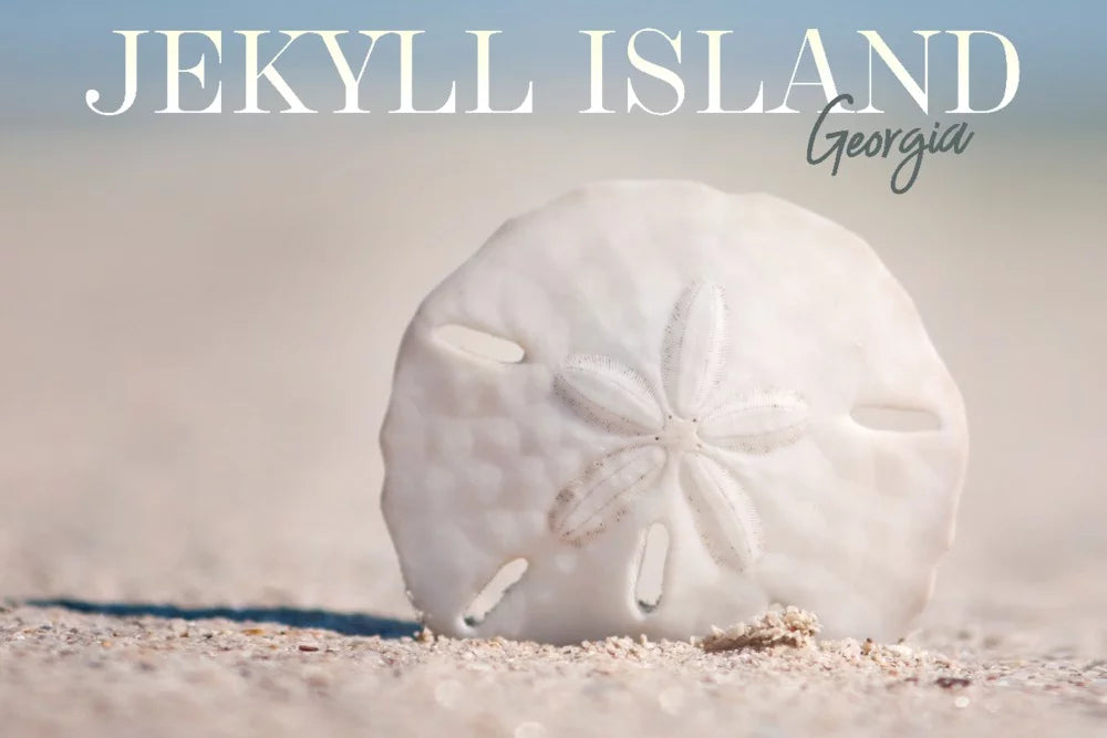 Jekyll Island, Georgia, Sand Dollar on Beach (19x27 inches, Premium 500 Piece Jigsaw Puzzle for Adults and Family, Made in USA)