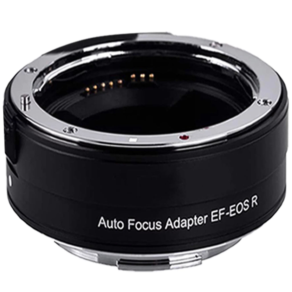 Canon EOS R5 Mirrorless Camera with RF24-105mm + 75-300mm Lens + Mount Adapter + SanDisk 128GB + ZeeTech Accessory