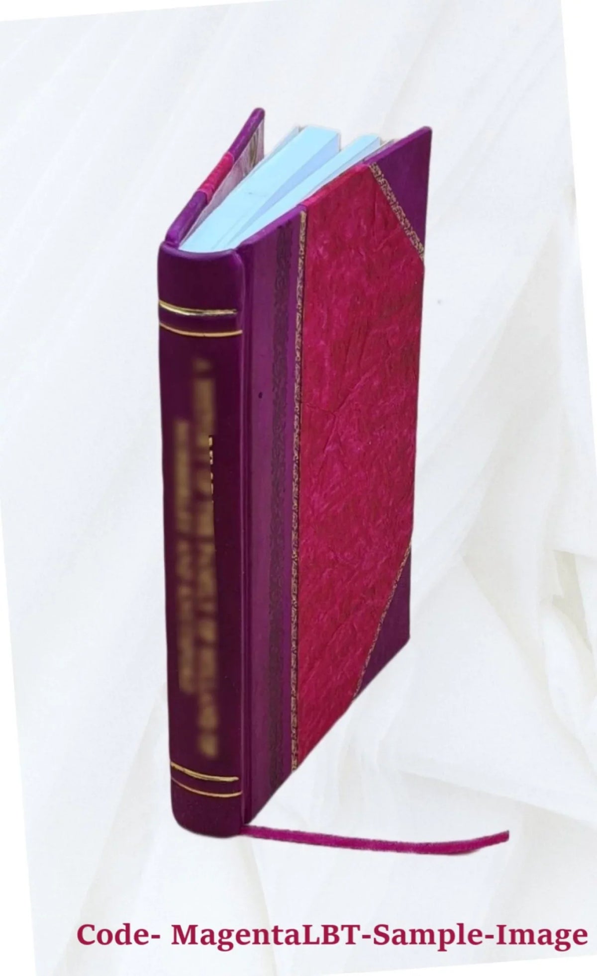 Three hundred days in a Yankee prison; reminiscenses of war life, captivity, imprisonment at Camp Chase, Ohio 1904 [Leather Bound]