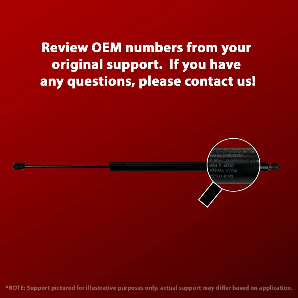 Qty 2 Compatible with Ford Mustang 2015 to 2021 Trunk Lift Supports W/O Spoiler. Gas Shock - 2016 2017 2018 2019 2020 2022 Lift Supports Depot PM3864-a