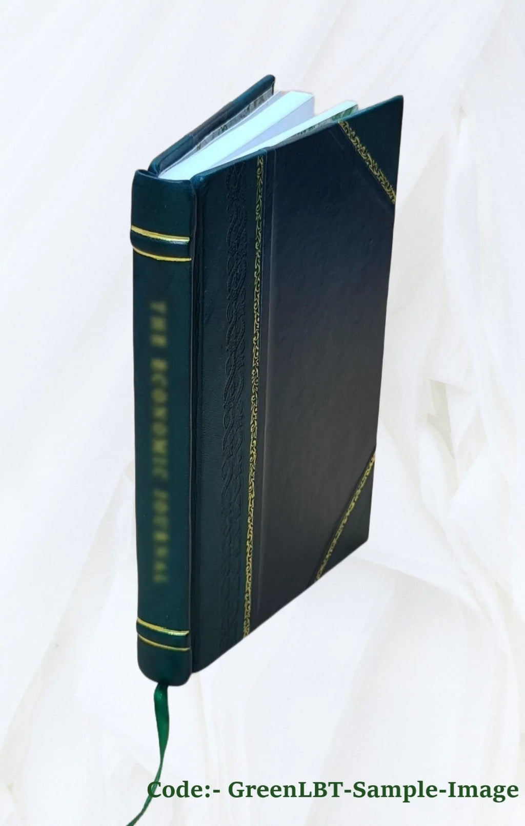 Barrett v. Grand Trunk Western Railroad Company Volume Defendant-Appellant's Petition for Rehearing (July 31, 1978) 1977 [Leather Bound]