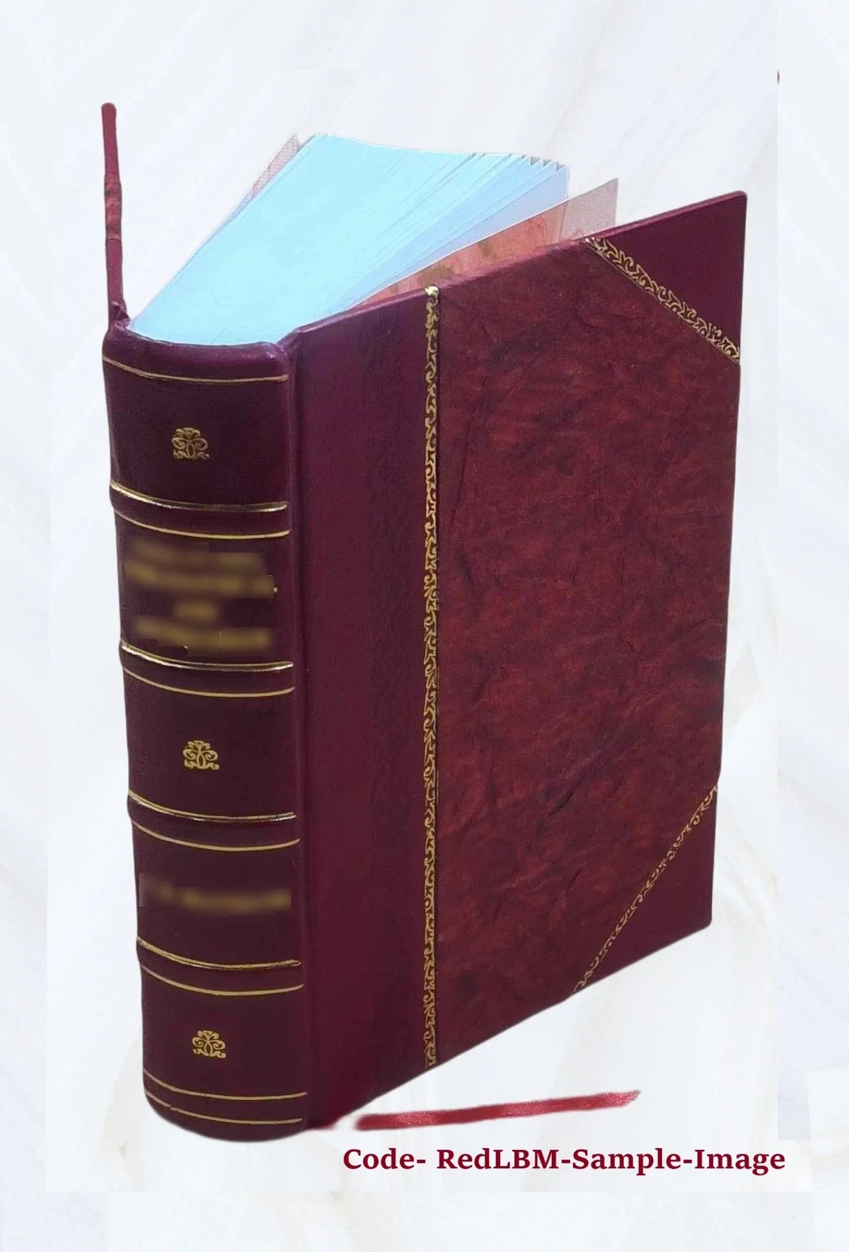 Cinderella Three hundred and forty-five variants of Cinderella, Catskin, and Cap O' Rushes 1893 [Leather Bound]