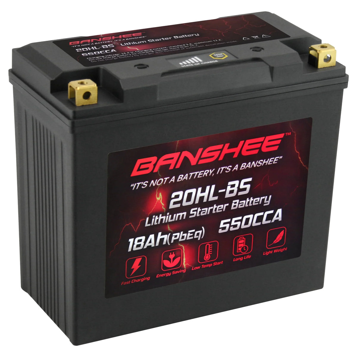 Banshee YTX20L-BS LiFePO4 Motorsports Battery Compatible with Sea-Doo 3D RFI 2005 to 2005