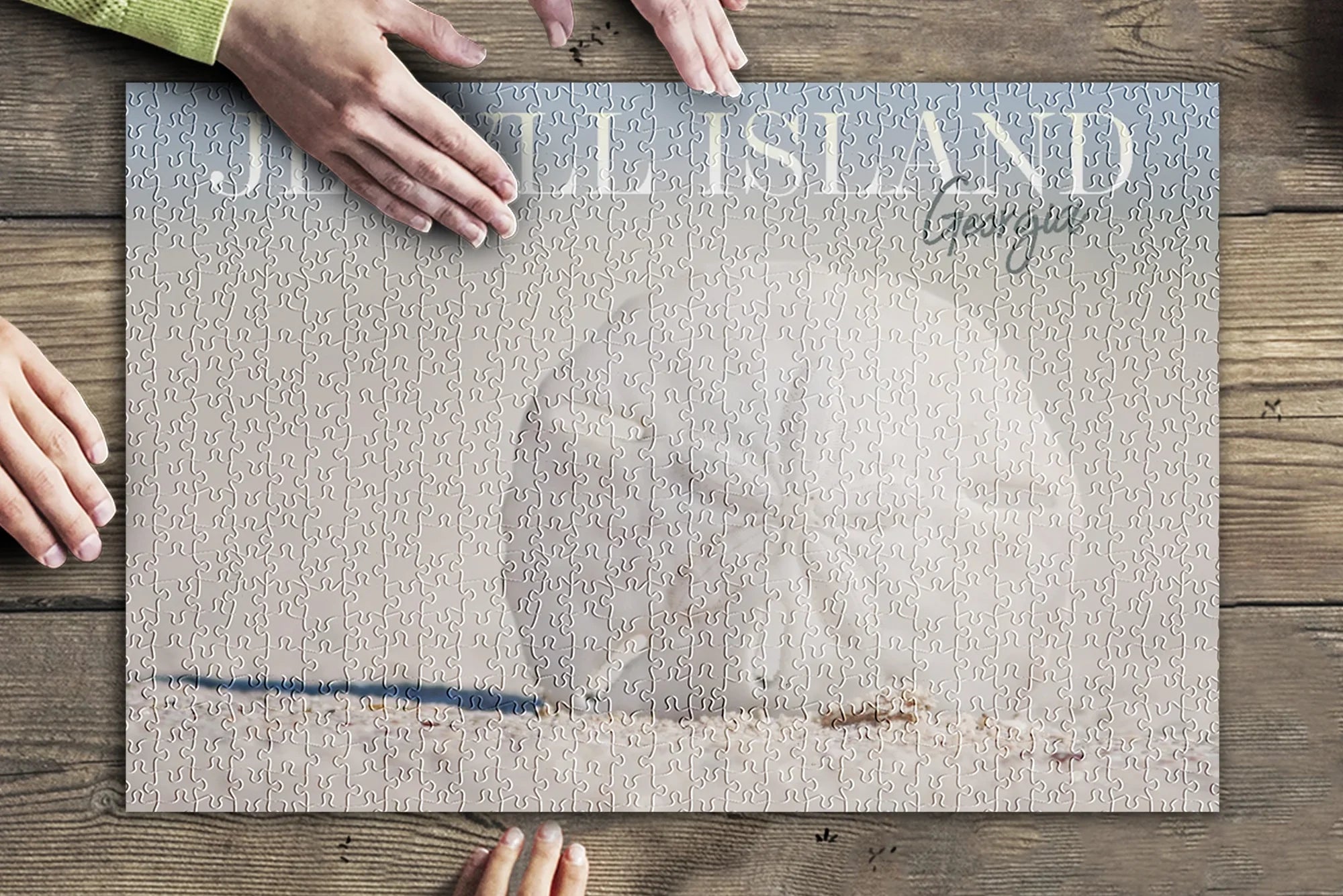 Jekyll Island, Georgia, Sand Dollar on Beach (19x27 inches, Premium 500 Piece Jigsaw Puzzle for Adults and Family, Made in USA)