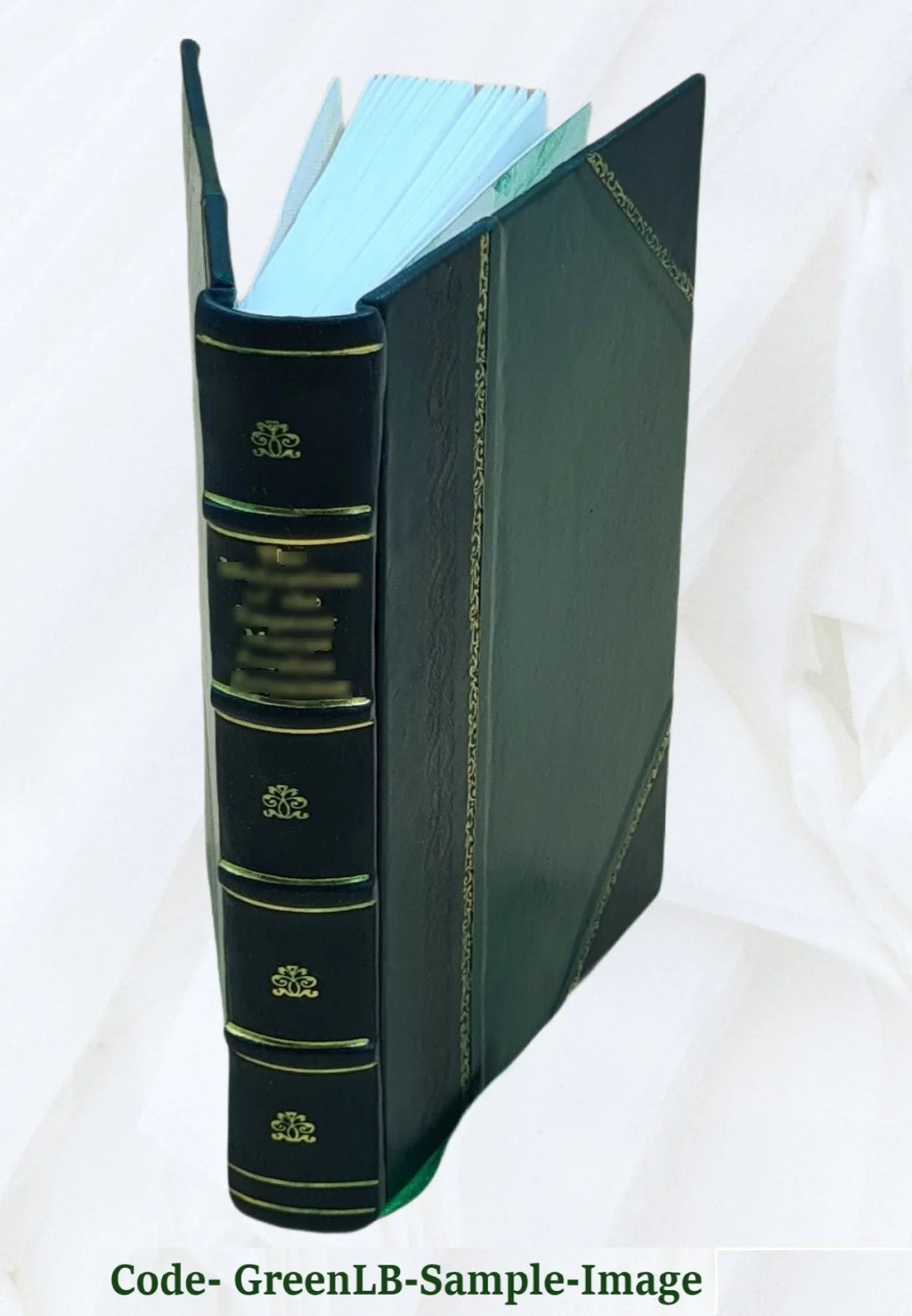 De corpi marini, che su' monti si trovano : della loro origine, e dello stato del mono avati diluvio, nel diluvio, e dopo il diluvio ([Reprod.]) / di Antonio Vallisneri,... 1721 [L