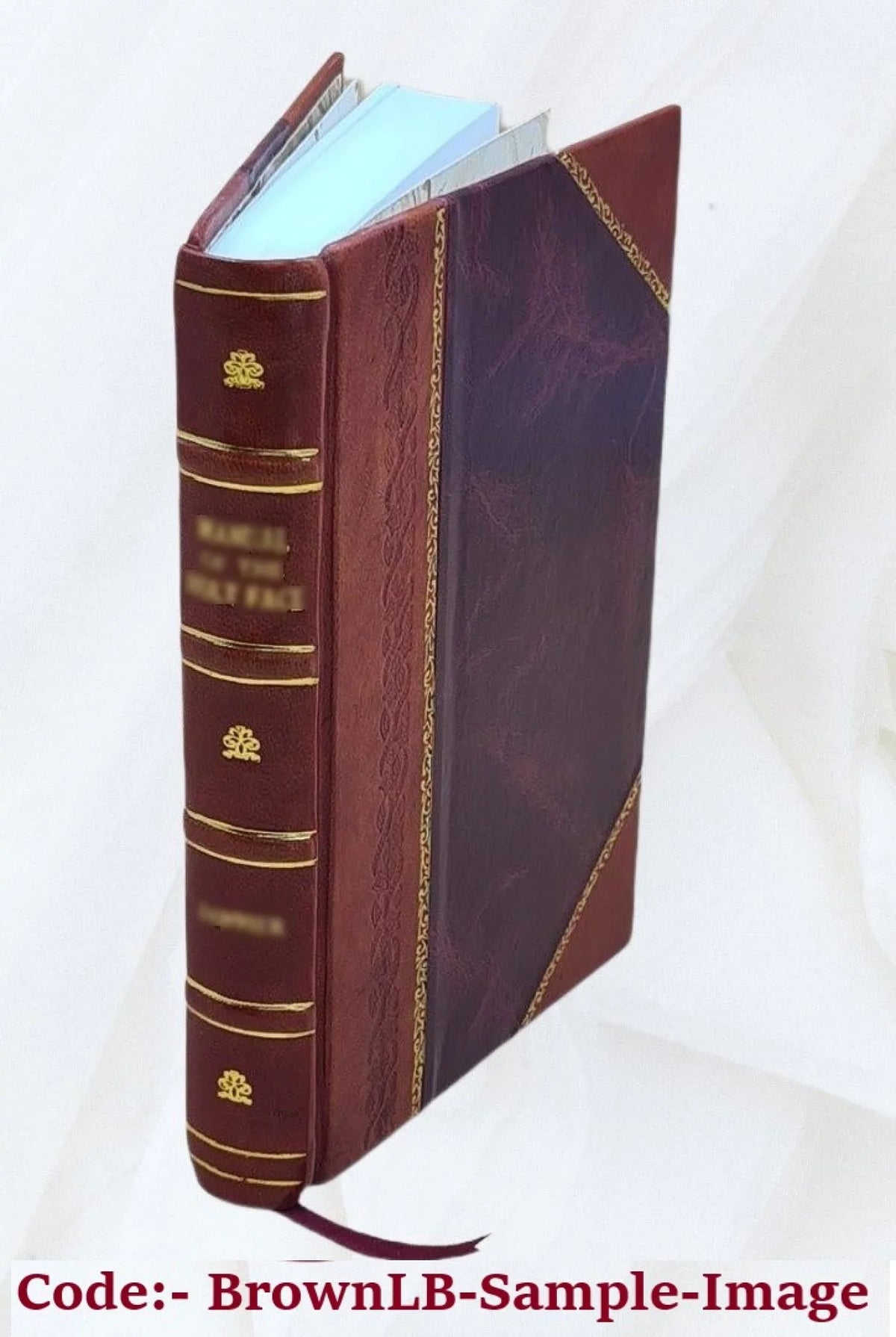 The Nautilus Volume 1977 1927 [Leather Bound]